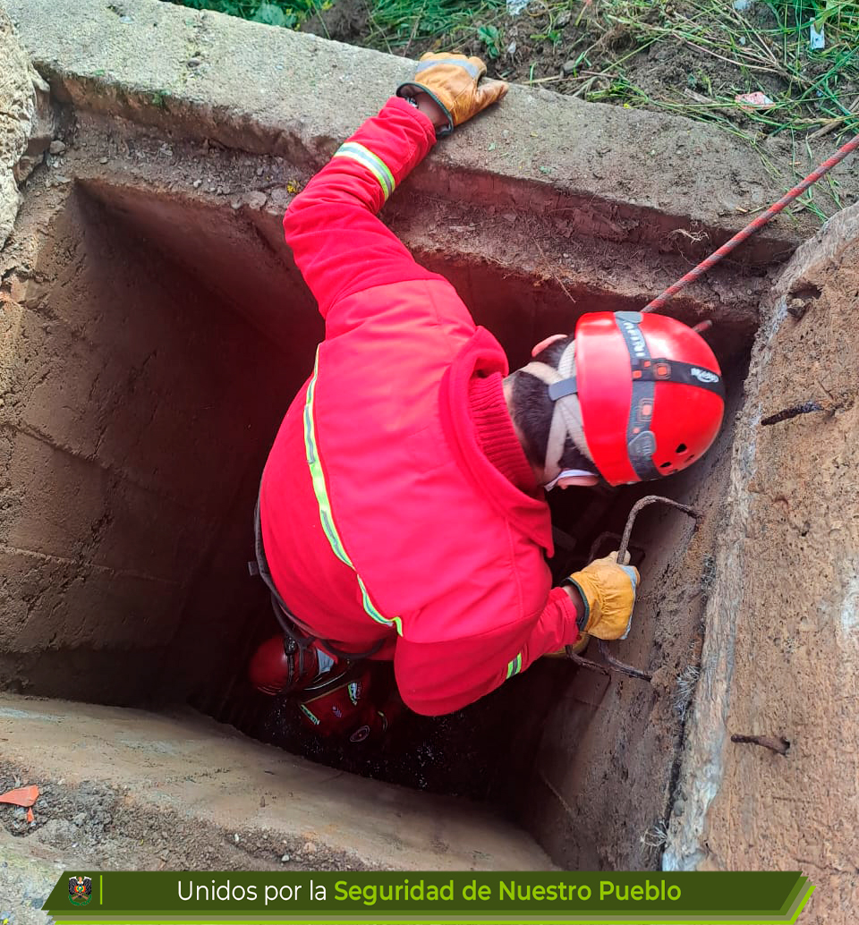 #LaPaz Ayer, recibimos la denuncia sobre un peludito que cayó a un canal de agua de 5 m. de profundidad en la Zona Alto Miraflores, inmediatamente nuestros #BomberosAntofagasta se constituyeron al lugar, logrando rescatar y trasladar al can a una plataforma segura.