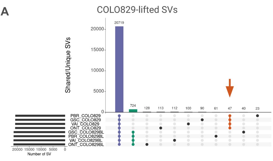 New work on #Cancer variant prioritization using #T2T . It helps & we can overcome variant annotation issues! + An updated somatic SV benchmark for COLO829/COLO829BL across 4 replicates Grch38 +T2T! New preprint: medrxiv.org/content/10.110… @lfpaulin @BCM_HGSC @oneillkza etc!