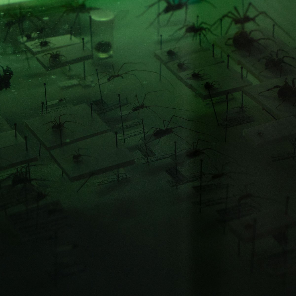 residence1plus2 tweet media