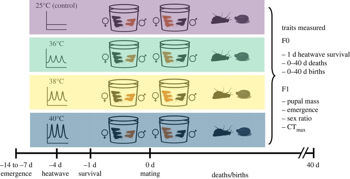 Royal Society Publishing tweet media