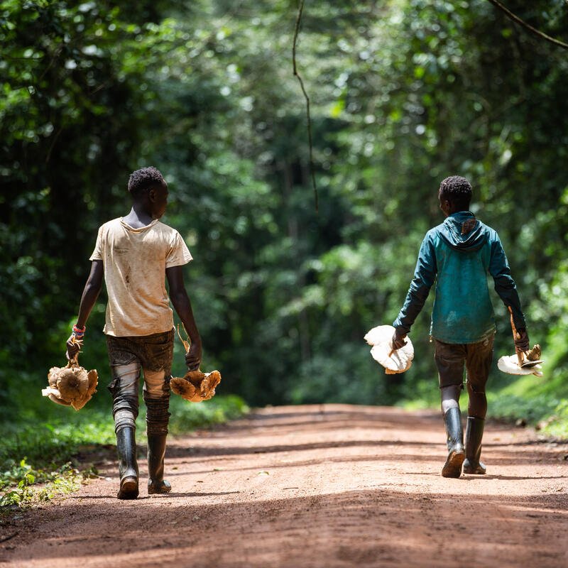 Kisembo John and his brother walk with their harvested mushrooms 🍄

In #Uganda, WFP supports refugees with livelihood interventions to build their #SelfReliance