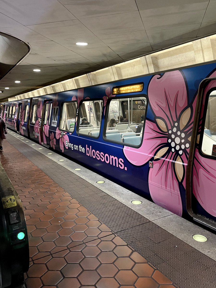 BREAKING: WMATA stuns in new photo. 🌸🚉