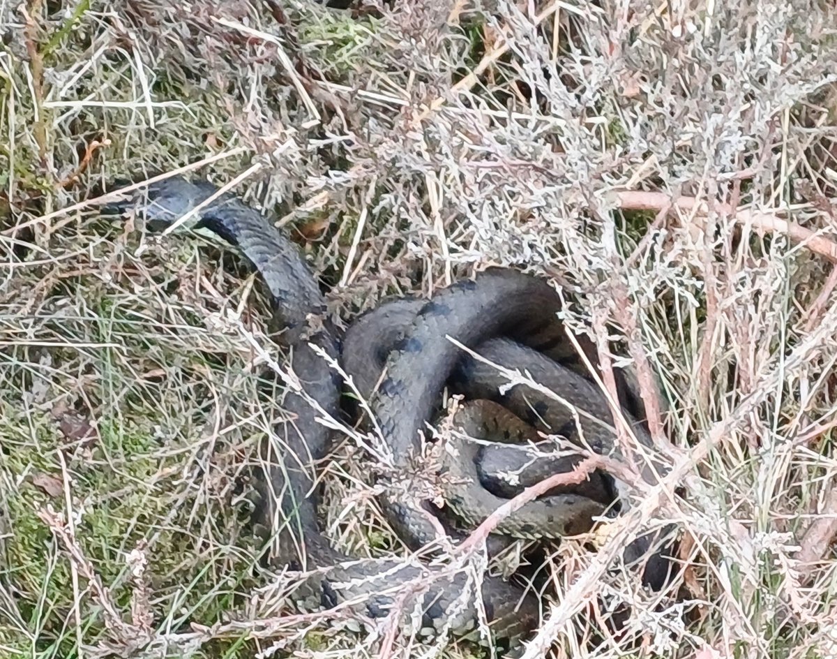 Geoff St tweet media