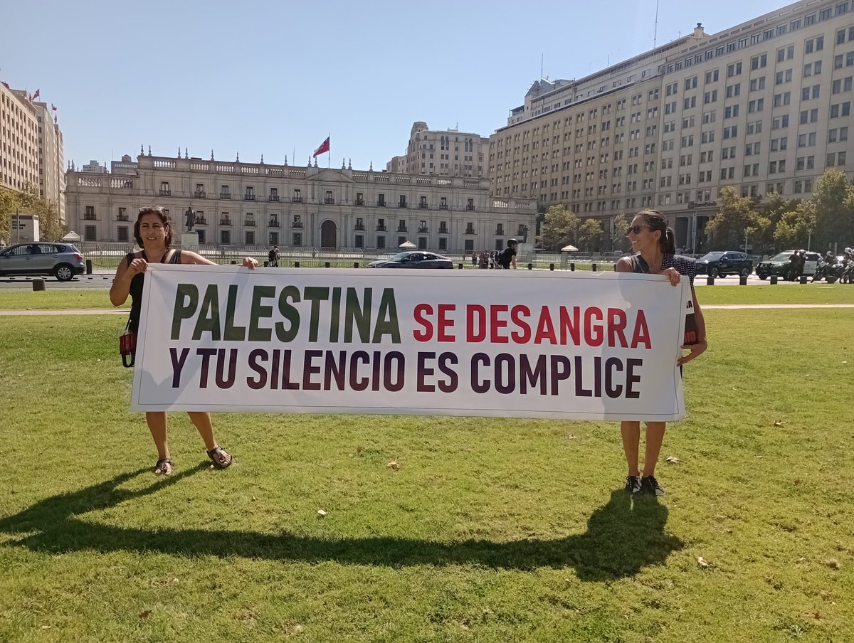 #FreePalestine #CeasefieNow #Chile