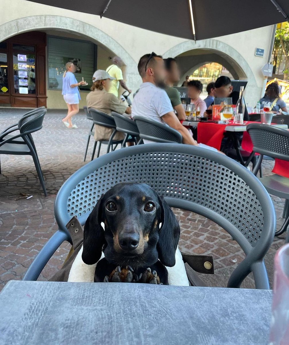 salsichinhas's tweet photo. O melhor date ❤️ https://t.co/gvDS3UylgP