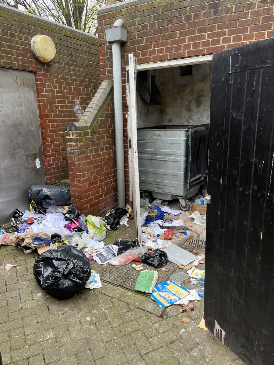 Lewisburridge1's tweet photo. ⁦@WBC_Help⁩ Any chance this can get sorted. I have to step over this to deliver to them, it’s getting to the point where we will have to refuse delivery. Hope it can be cleared soon, it’s disgusting https://t.co/afTm9FR4fr