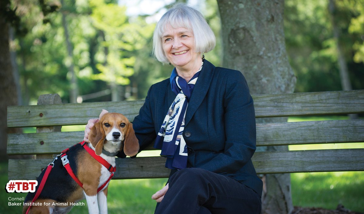 Happy #ThrowbackThursday! Here's a look at Dr. Vicki Meyers-Wallen in 2016. Meyers-Wallen joined the Baker Institute in the early 90s to focus on veterinary reproduction, namely Persistent Mullerian Duct Syndrome. Read more about her research & impact: vet.cornell.edu/canine-embryon…
