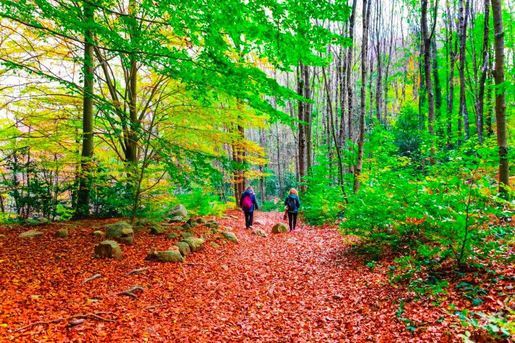 City Hotels Hispania tweet media