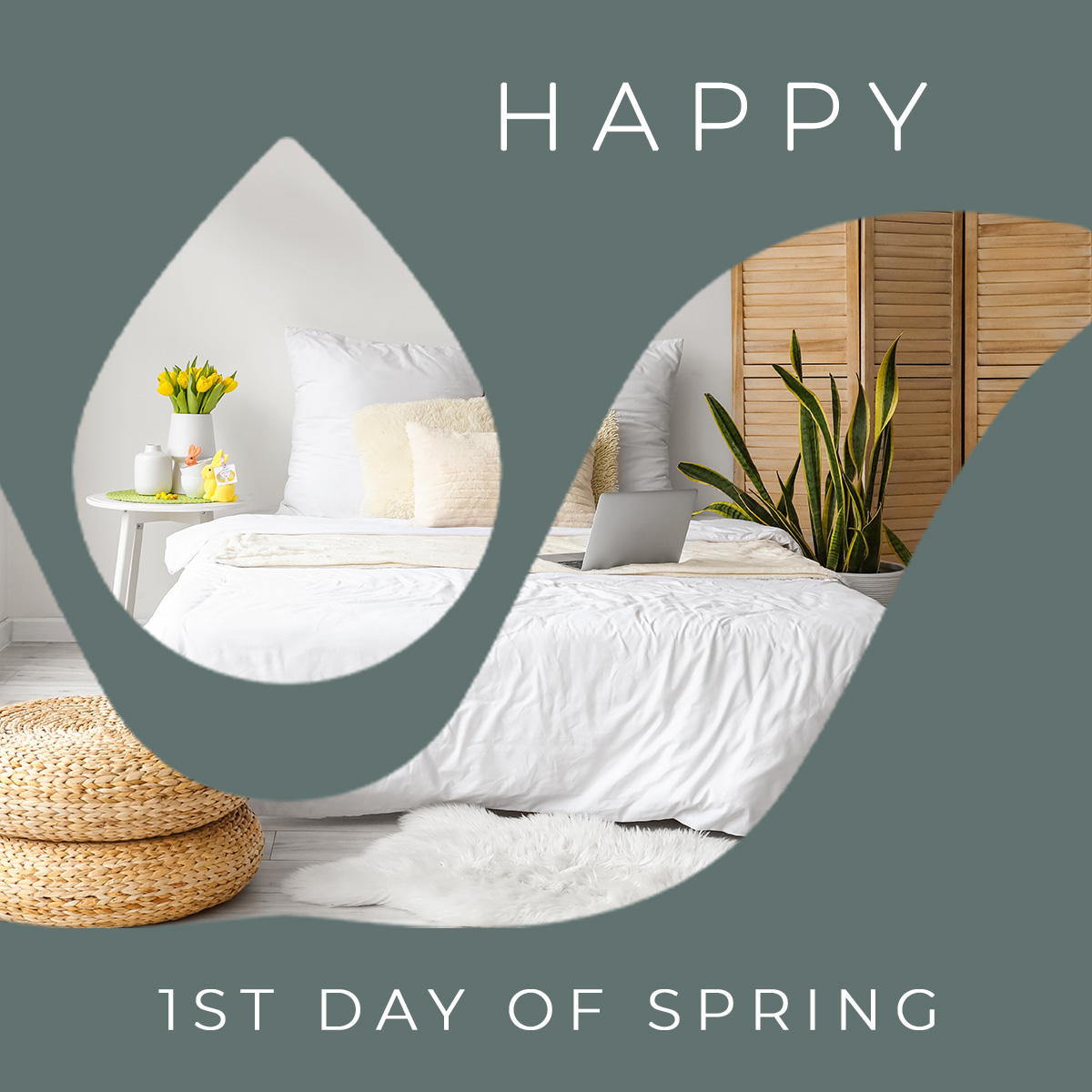 Blossoms bloom, and spirits rise. Happy 1st Day of Spring! 🌸🌱 #spring #sleep #home #organic