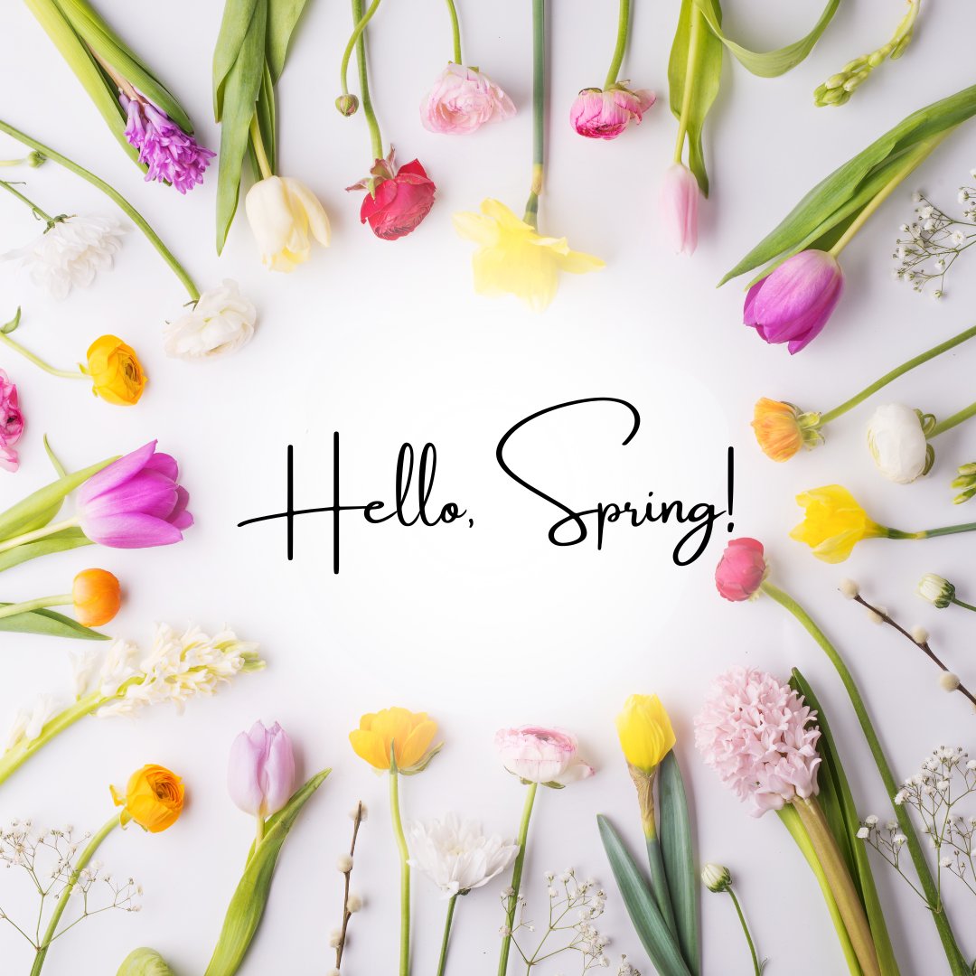 🌸🌞 Welcome to the First Day of Spring! 🌞🌸 As we embrace the warmer breezes and sunnier days, it’s essential to remember to:
-Start Exfoliating
-Switch to a Lighter Moisturizer
-Upgrade Your SPF

#FirstDayOfSpring #SpringSkincare