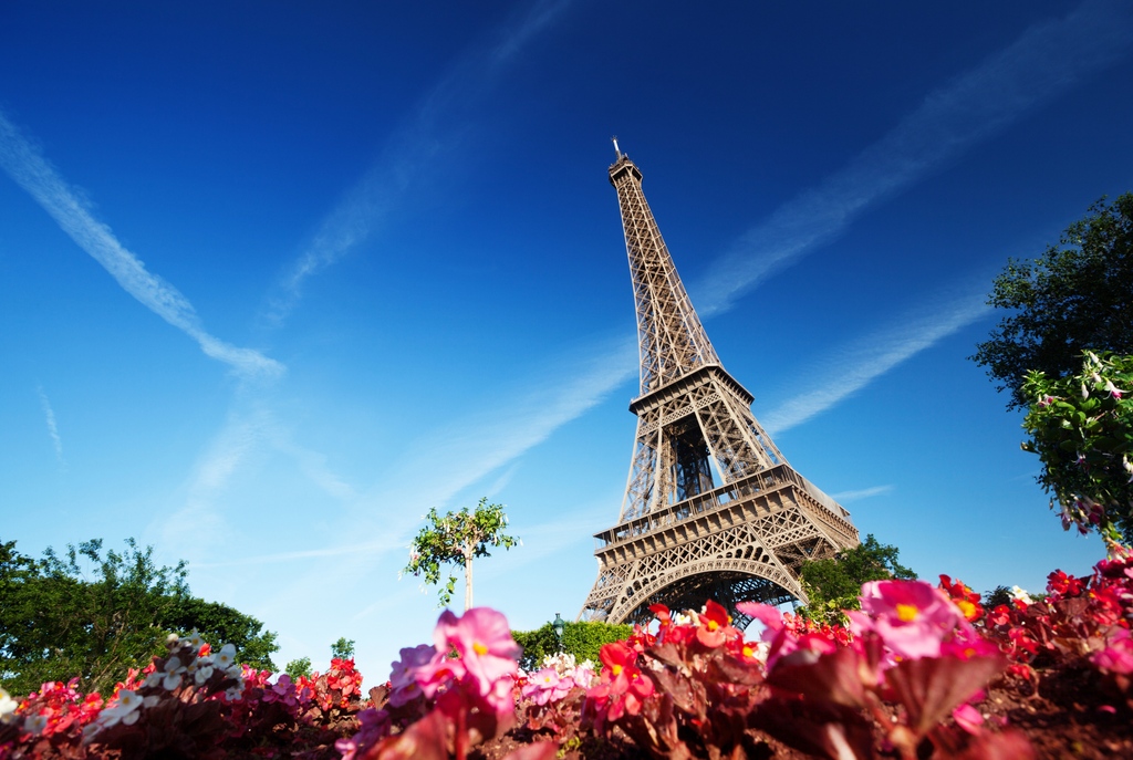 mykindofcruise's tweet image. Experience the iconic Eiffel Tower up close on a Paris excursion! Your cruise to France just got more enchanting! 🗼🇫🇷 

#ParisExcursion #EiffelTowerMagic #MyKindofCruise #Cruise #App