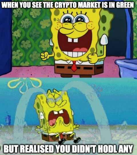 spongeoneth's tweet image. ALWAYS #HODL!!!! 🧽🧽🧽🧽🧽

$SPONGE #SpongeV2 #AltSeason