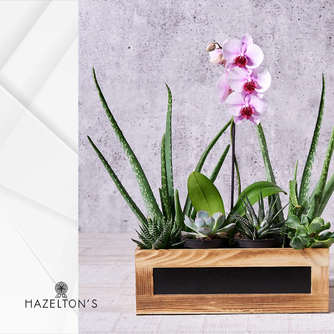 Small gestures make a world of difference in someone’s day. Surprise your loved one with a gourmet gift basket.