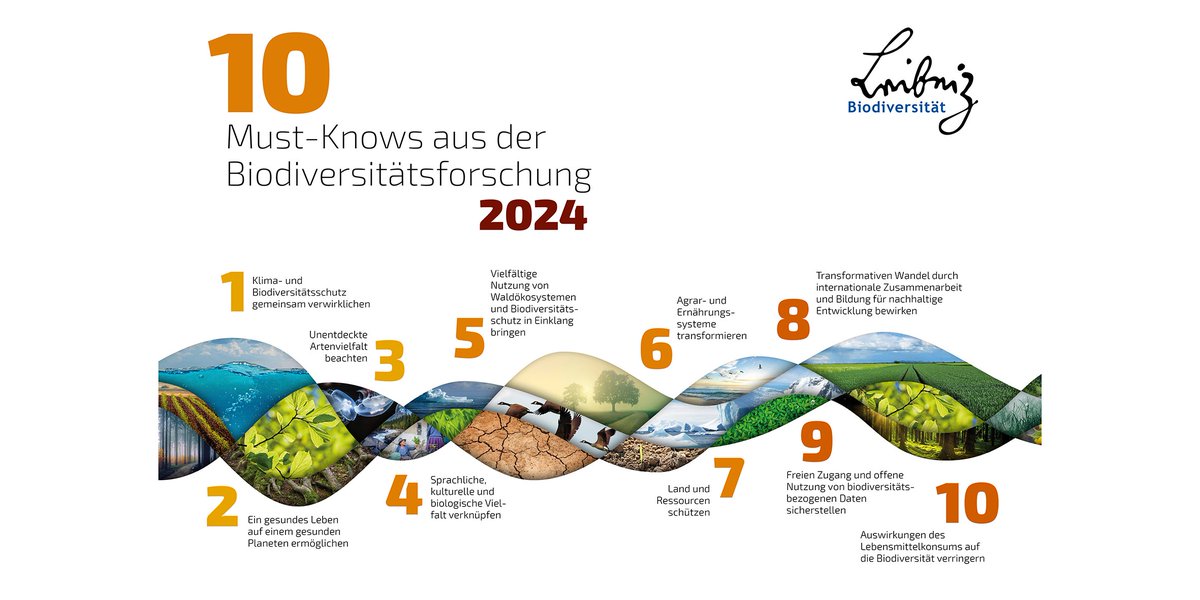 Vom Wissen zum Handeln. Wie lässt sich die biologische Vielfalt erhalten? 10 Must-Knows aus der Biodiversitätsforschung vom Leibniz-Forschungsnetzwerk #Biodiversität. ow.ly/euwX50QWPWp #Umwelt #Natur #Nachhaltigkeit @PIK_Klima