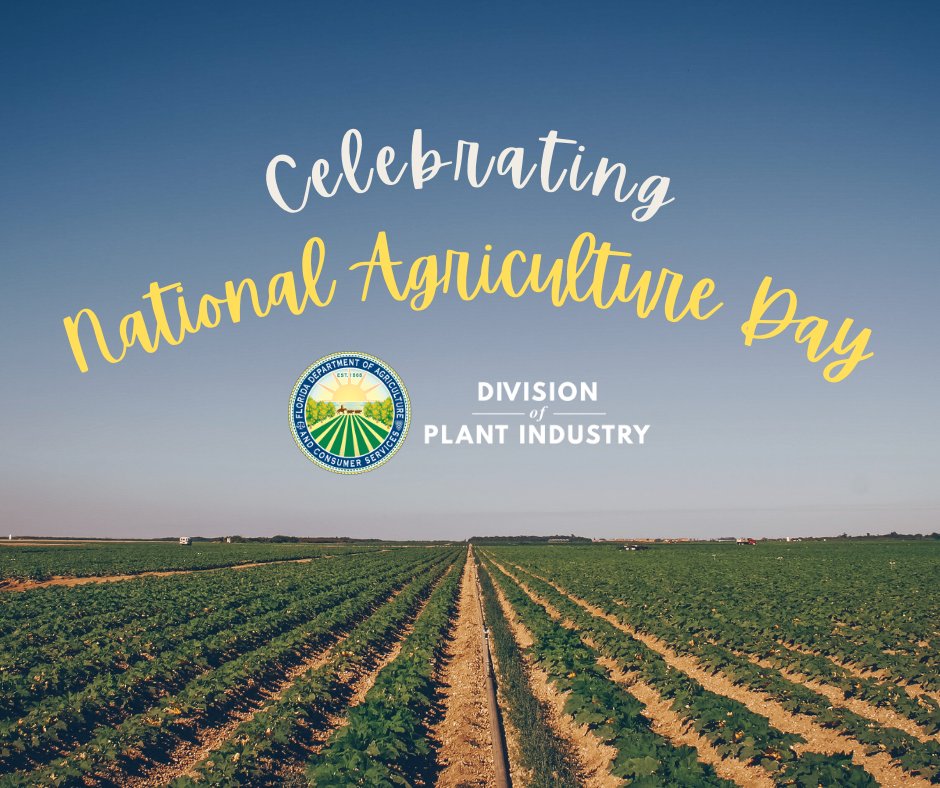 Happy 🌳 National Agricultural Day 🌾! Today, we would like to celebrate the hard work and effort each individual at FDACS-DPI contributes to Florida's 🚜 agricultural and 🌿 plant industries! #NationalAgricultureDay #FloridaAgriculture #FloridaGrowers #FDACS #PlantIndustry