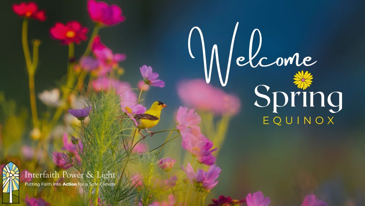 🌷🌞 Happy Spring Equinox! Today, we celebrate the equilibrium of day and night, marking the arrival of spring. May the season inspire us to cultivate balance, growth, and a deeper connection with the Earth. 🌍💚 #SpringEquinox #InterfaithRenewal #EarthConnection