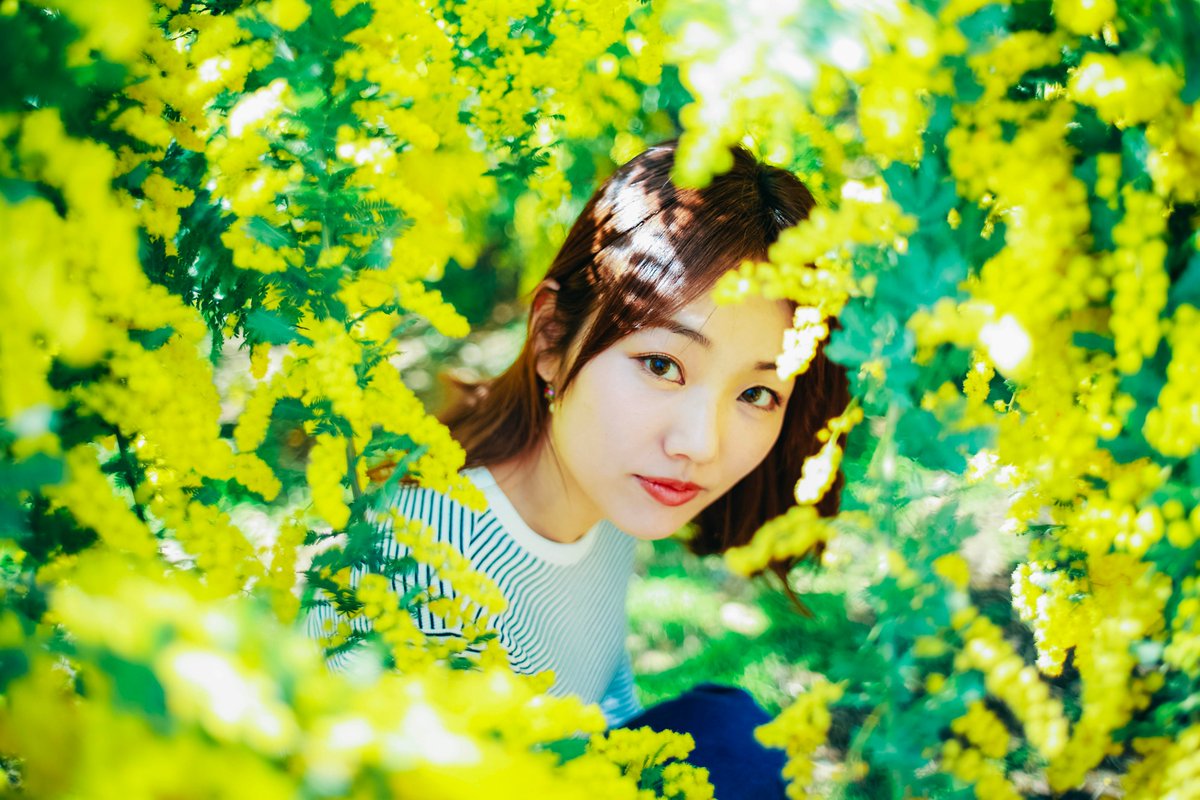 deadpoor0724's tweet photo. オールドレンズでの描写と色味も悪くない。
#御木ももあ
@emumu_mu
#ポートレート撮影
#ポートレートモデル
#リクエスト撮影
#初ミモザ
#FD35 https://t.co/2bhLcdGDJ1