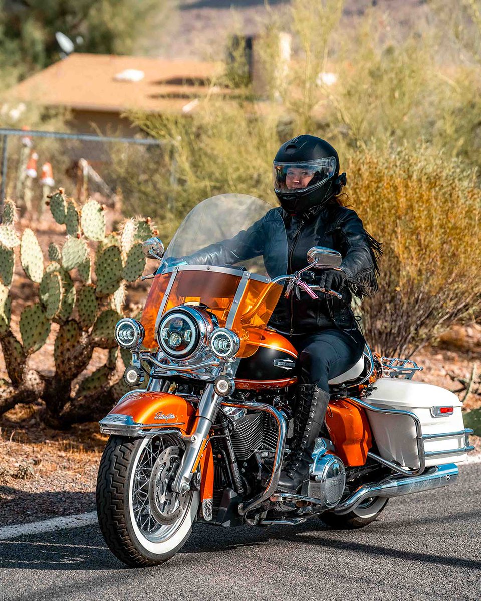 Henderson Harley tweet media