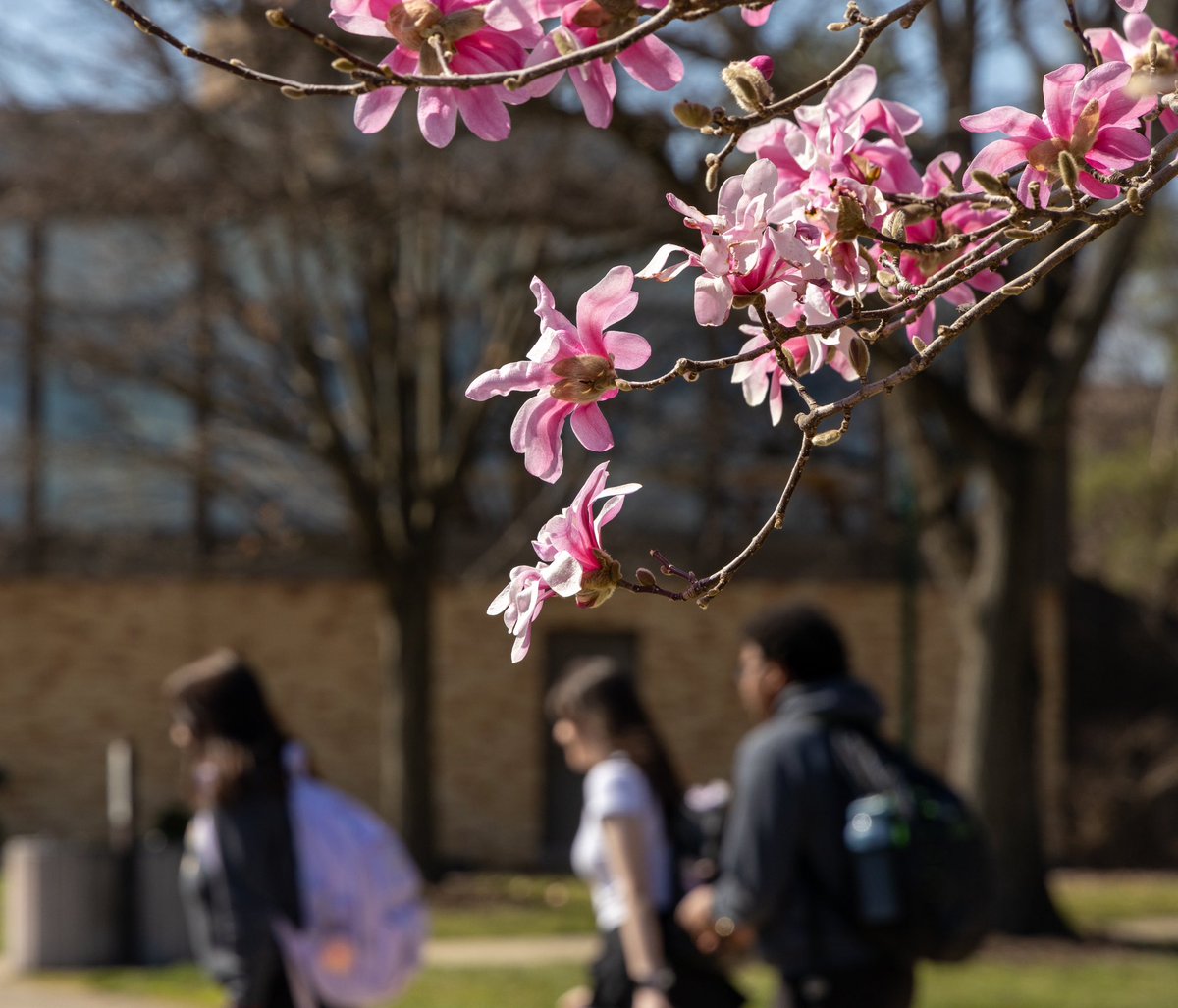 Is it just us, or does spring look good on campus? 😉🌸🌷☀️ #eiu #spring #firstdayofspring #campus #bloom