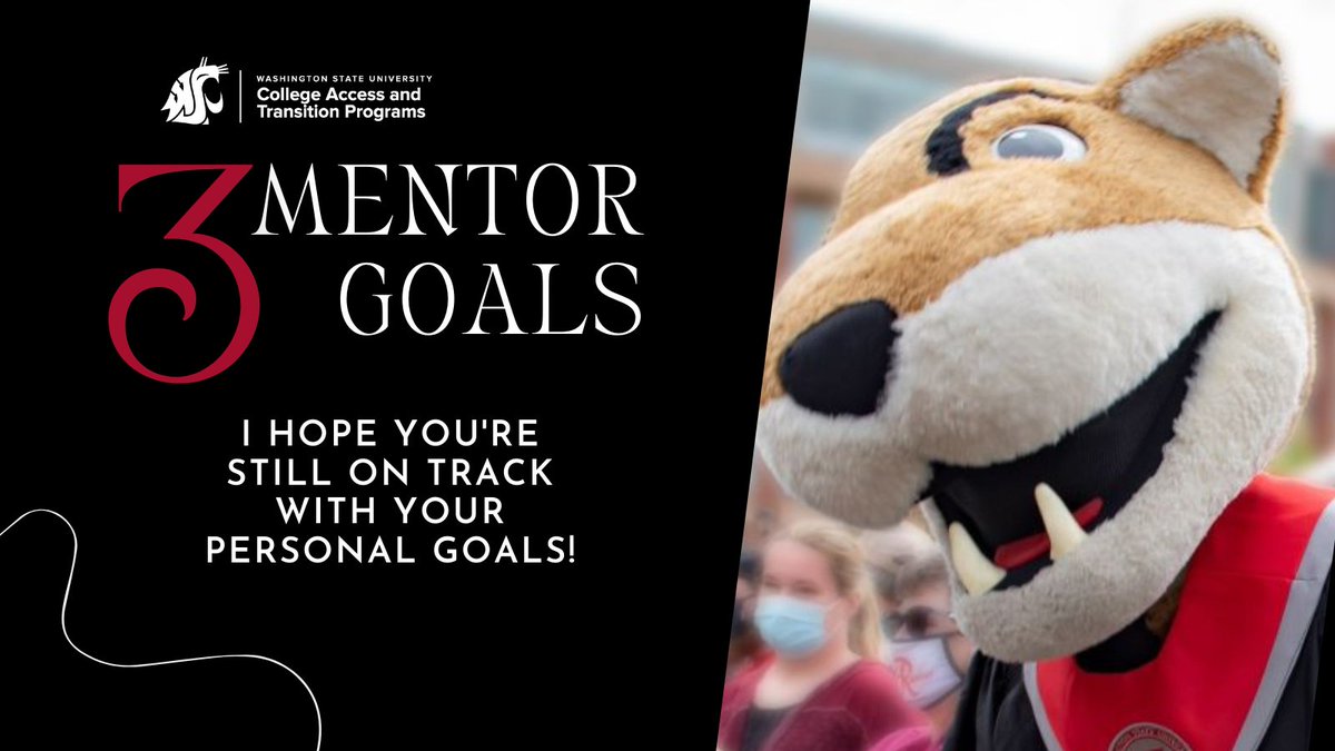 WSU College Access & Transition Programs tweet media