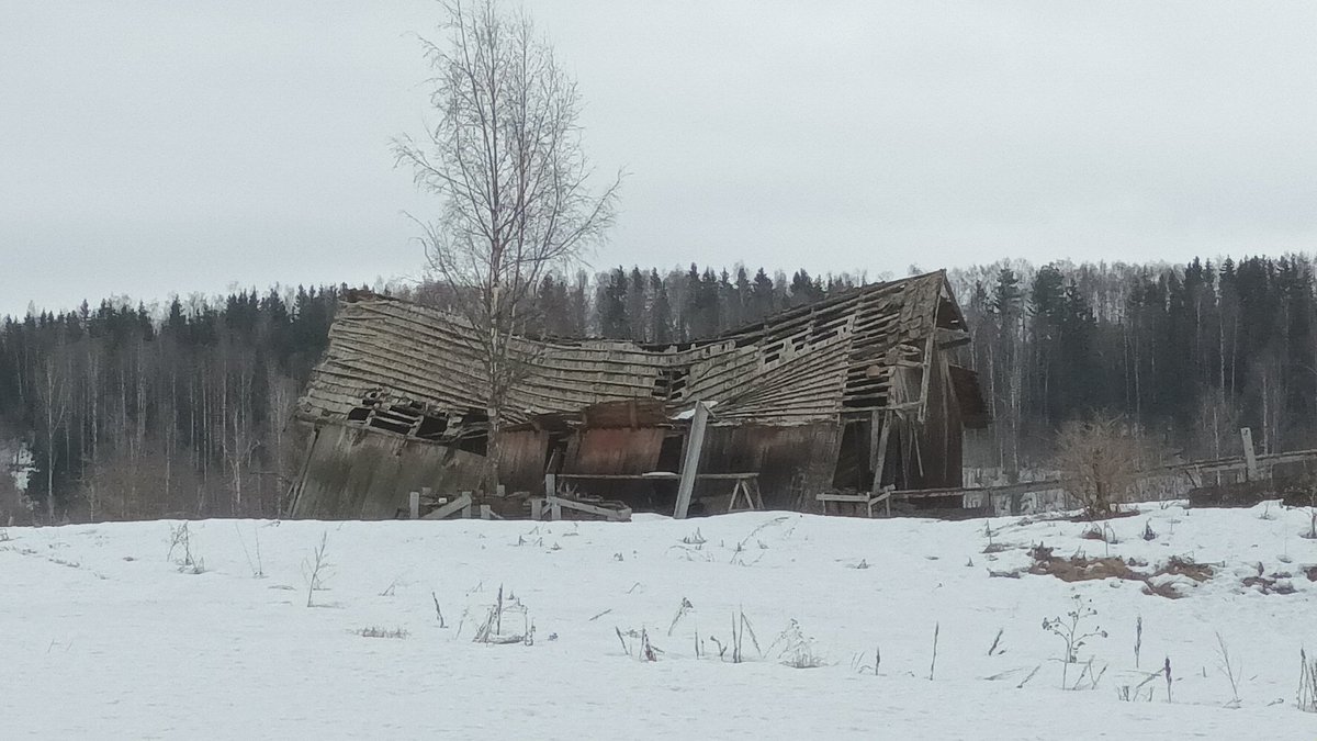 wiba's tweet photo. Krasafaren løe. https://t.co/8qqxfjwAxU https://t.co/ZhivkfFf2e