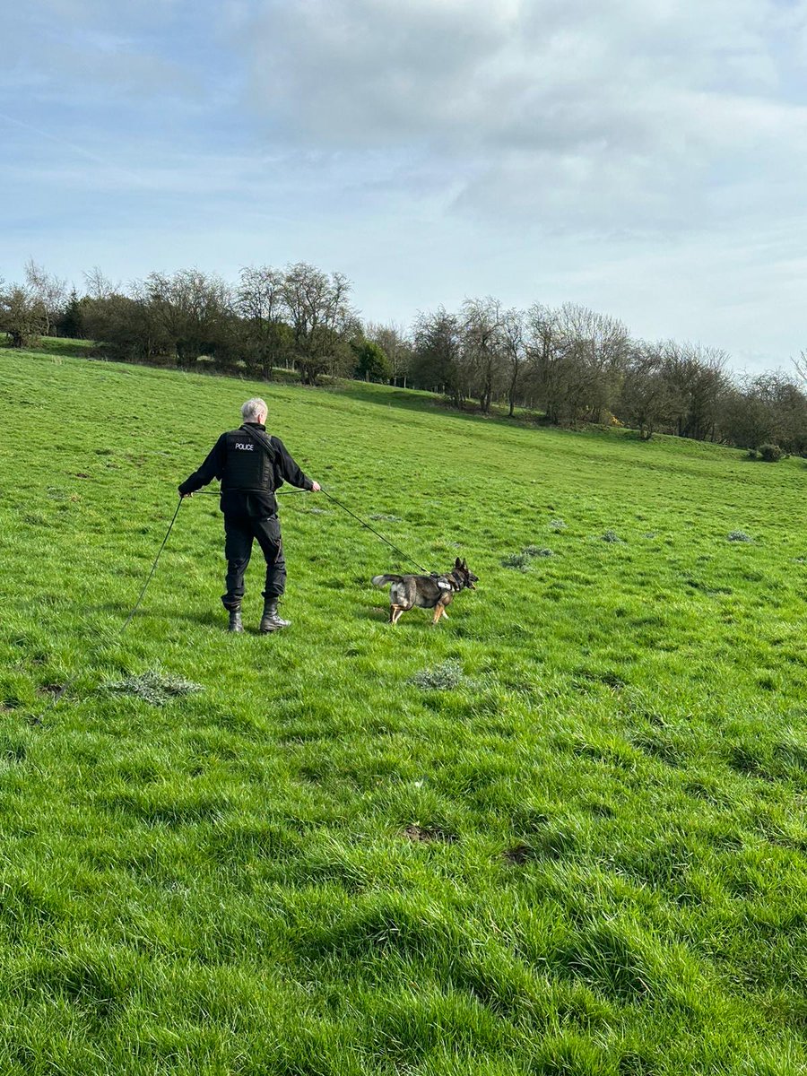 NYorksPolice's tweet photo. Three arrested following pursuit near Harrogate 👇 

At 1.45pm today (Tuesday 19 March) officers from our Operational Support Unit attempted to stop a VW Golf on the A61 at Ripley. 

A police dog and a police helicopter was involved. 

See the details here https://t.co/1GtC7i0QdA https://t.co/x2SXElG3I2