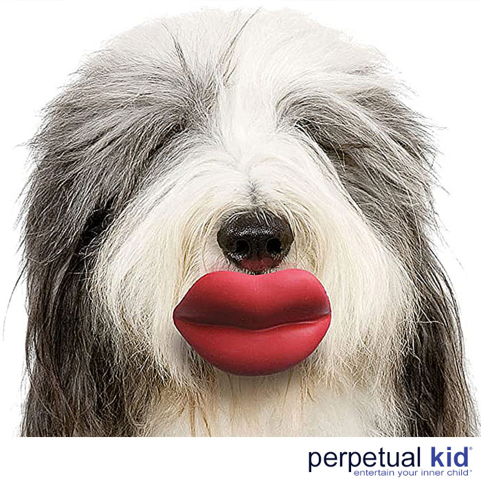 Perpetual_Kid's tweet image. 💋💄🐶😄🤣😹 Turn your pup into a comedic genius with our fetch toy! Watch as they rock giant cartoon lips with every fetch! #FetchFun #DoggyComedy

perpetualkid.com/products/humun…