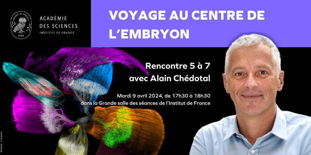 #Conférence // Alain Chédotal, membre de l'Académie des sciences vous invite à '𝒖𝒏 𝒗𝒐𝒚𝒂𝒈𝒆 𝒂𝒖 𝒄𝒆𝒏𝒕𝒓𝒆 𝒅𝒆 𝒍'𝒆𝒎𝒃𝒓𝒚𝒐𝒏' ! 🔬Venez explorer les secrets du développement humain le 9 avril à 17h30 à l'@InstitutFrance. ℹ️ academie-sciences.fr/fr/Seances-pub…