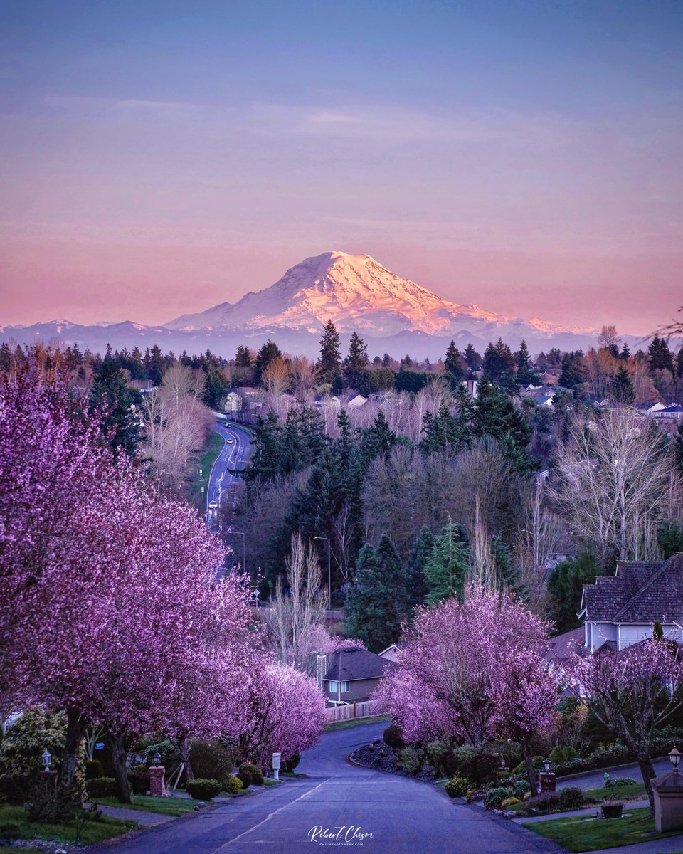 Robert LaSelle Chism tweet media