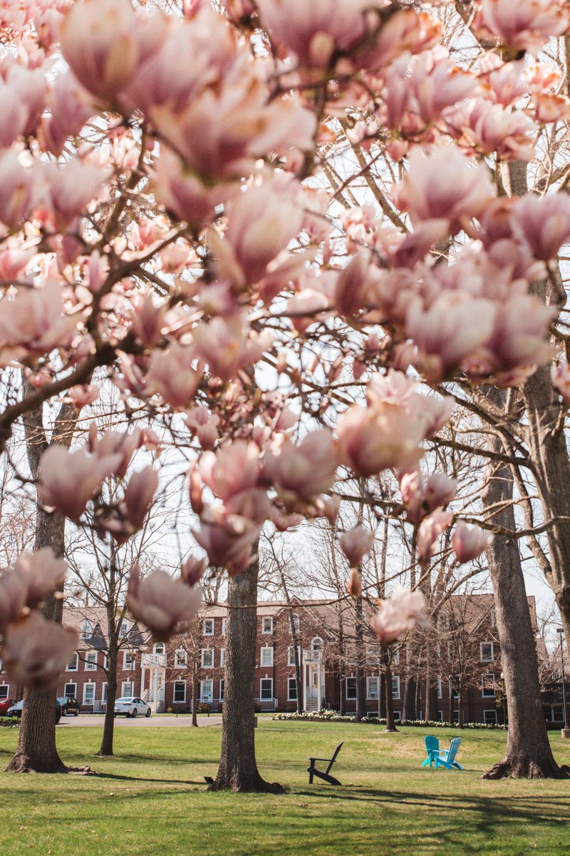 Rowan University tweet media