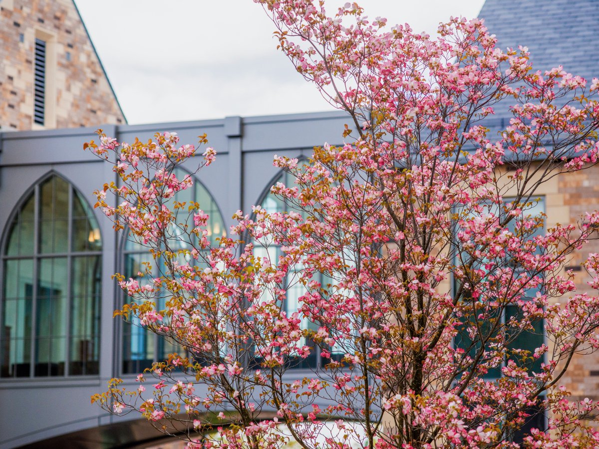Happy first day of Spring 🌸 We can't wait to see the campus in bloom again! #WeAreSHU #SHUViews