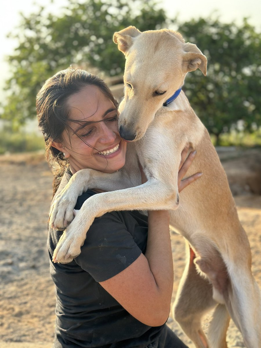 ayudemosapluto's tweet photo. A big guy who still thinks he's a baby ππ₯° My beautiful #SnowAP always happy, spoiled and giving love everywhere π«Άπ»
We continue to need support to fulfill our commitmentsππ» Remember that nothing is little, everything adds up.
-April Fee (Missing $483.34)
-Veterinary debt ($200) https://t.co/CfeHNrLoMU