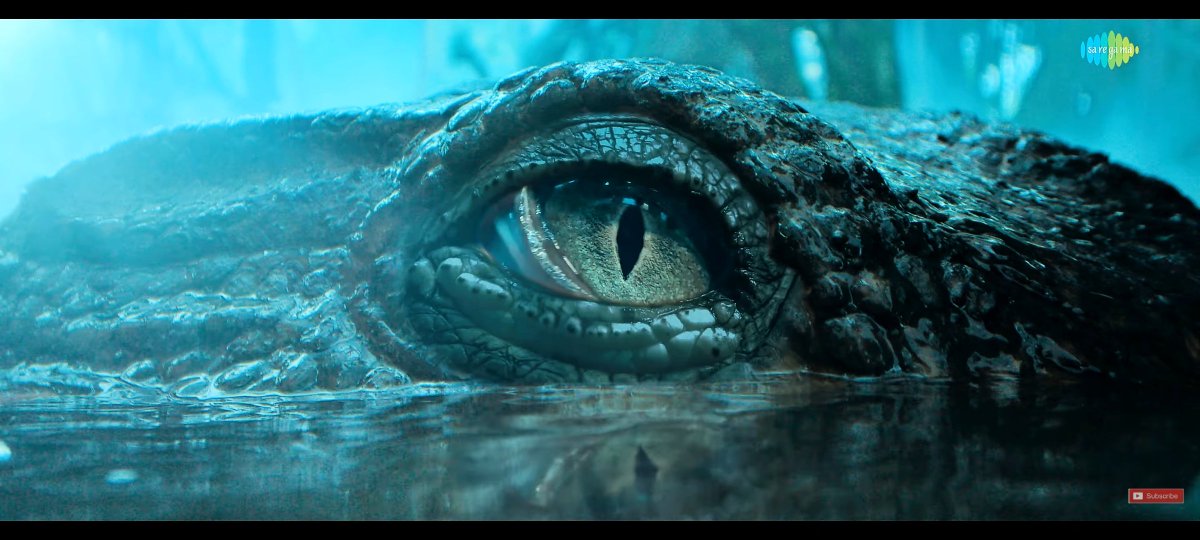 𝓑𝓪𝓵𝓪 𝓼𝓾𝓻𝓲𝔂𝓪 ❤️‍🔥(𝘽+𝙑𝙚) tweet media