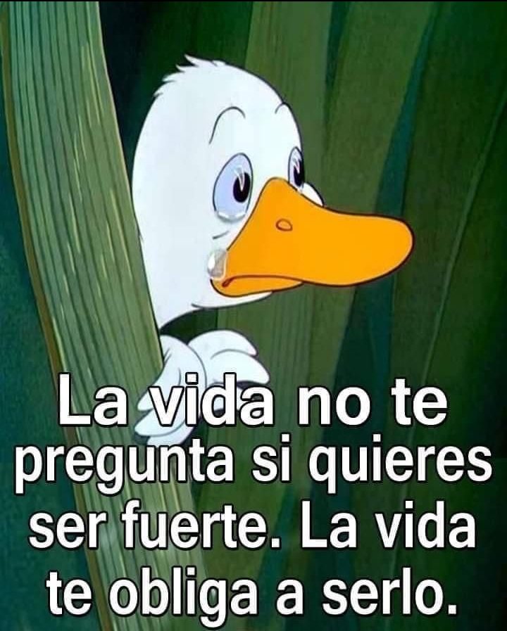Bertha Lopez (@berthalopezluc) on Twitter photo 