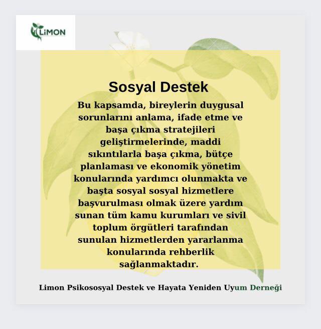 Sosyal destek, bireylerin veya grupların sosyal, duygusal, maddi veya diğer konulardaki sorunlarını anlamalarına ve çözmelerine yardımcı olmayı amaçlayan bir hizmet olup,  bireylerin daha iyi bir yaşam kalitesine ulaşmasını saglamak, güçlendirmek ve toplumsal uyumlarını