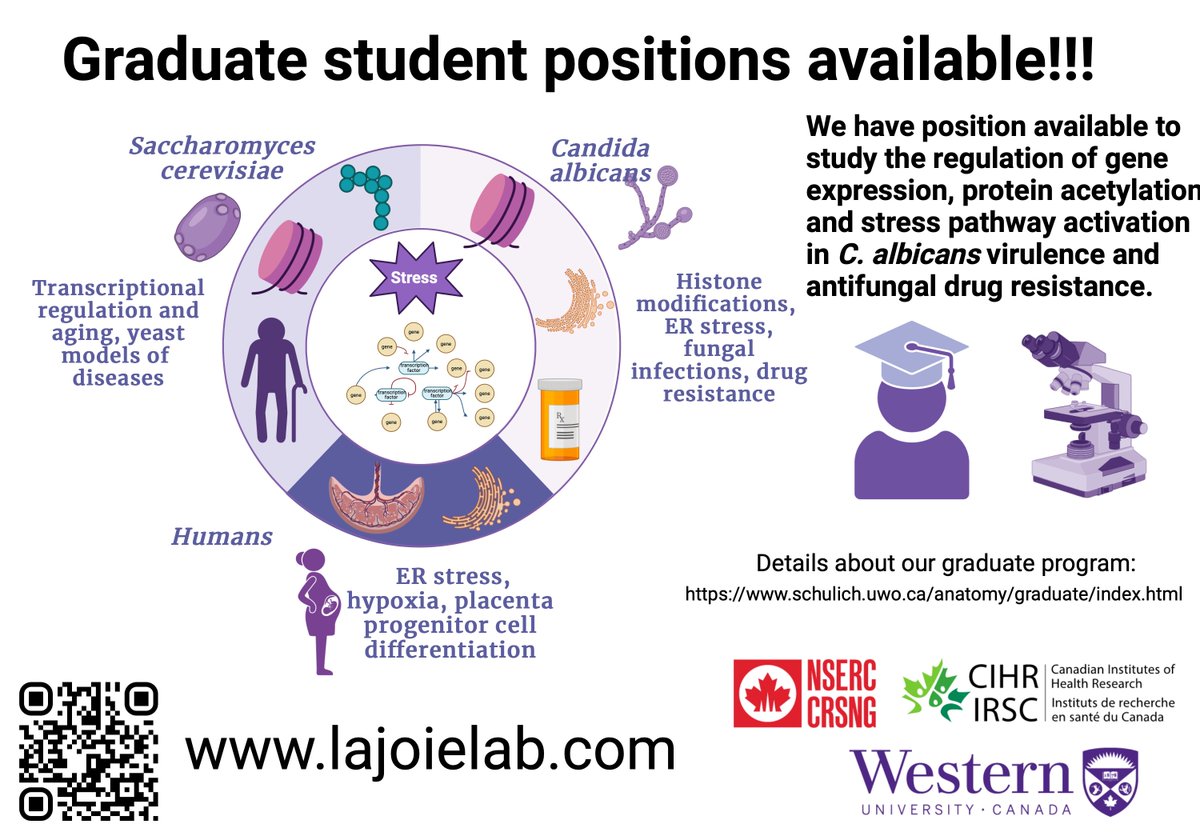 We have multiple positions available for graduate students in our lab!!!