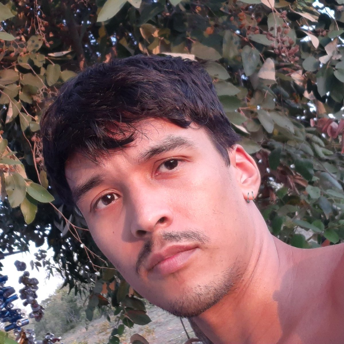 claustudy's tweet photo. Vivo (por enquanto). https://t.co/e95VHZLj8T