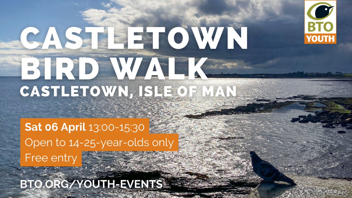 📢 Join BTO Youth Representative Alex for a springtime bird walk through Castletown, located on the Isle of Man. Attendees will learn more about local birds and also visit the harbour, where you can spot various seabird species. 🔎🐦 Come join in a fun mid-afternoon activity…
