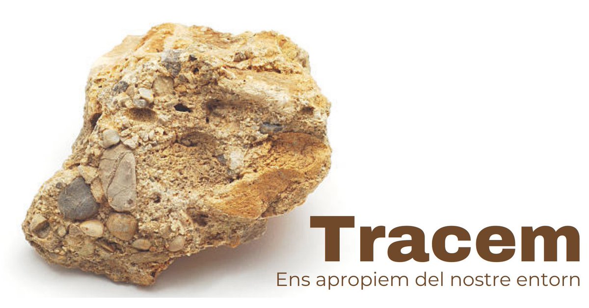 inscanoriac's tweet photo. Setmana de #transversals de primavera.
Quatre propostes per nivell durant tota la setmana a l’@inscanoriac.
⛰️🎨#TRACEM a 1r, 🧘♂️#MensSanaInCorporeSano a 2n,
🤝#UBUNTU a 3r,
🔍#PdRFiradeRecerca a 4t.
De nou capgirem l'institut! #tresor🌈 https://t.co/jJQDeKIYwX