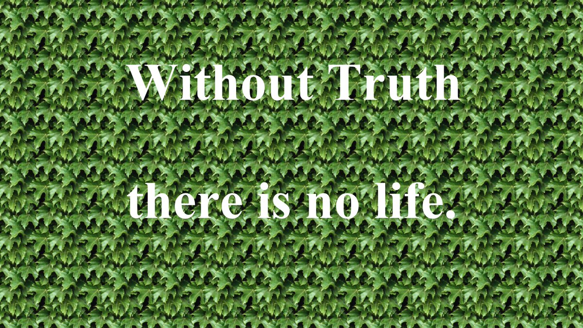 TruthInEternity's tweet image. 