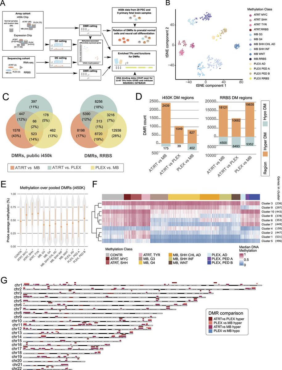 LifeScienceAlliance tweet media