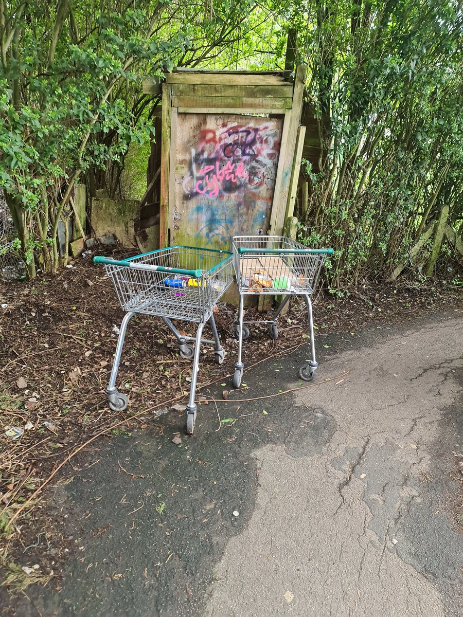 Tallish_Steve's tweet photo. @Morrisons The usual collection of abandoned trolleys in the lane between Milton Rd &amp; Station Rd, Yate. I never walk down there and find it trolley free. Maybe you should carry out a daily check. https://t.co/4FtcD6kAHp