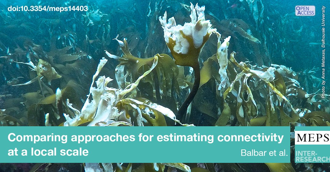 Estimating #EcologicalConnectivity with directional ocean currents shows strong agreement with #DispersalModelling for an invasive bryozoan and green sea urchin larvae, while average current speed is an adequate indicator of dispersal for kelp spores. #MFC bit.ly/meps_731_51