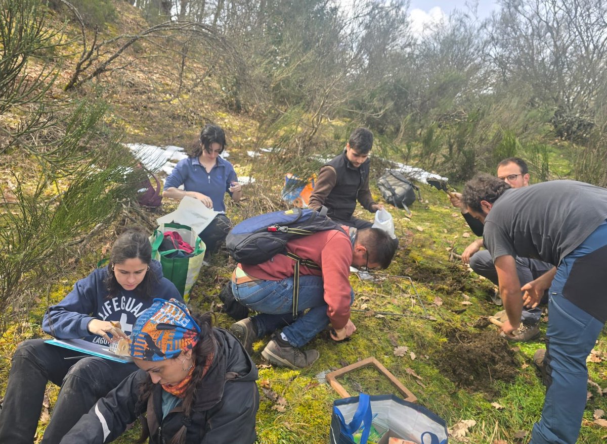 restormine's tweet image. Last Friday #restormine researchers and students of the #DataForest Master in @UVaPalencia continued with the monthly sampling in Guardo reclaimed mines, northern Palencia, in order to obtain edaphological data to measure the recovery success in the forest-mine gradient⛏️⛰️🥾