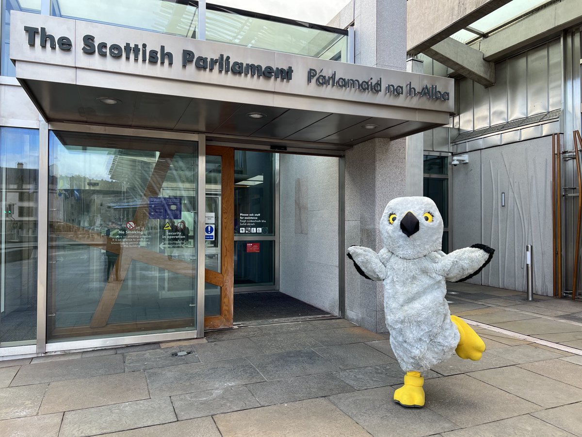 Henry Hen Harrier getting ready for the vote on the #WildlifeBill this afternoon! Peregrine overhead! ⁦@ScotRaptorStudy⁩ ⁦@ChrisGPackham⁩