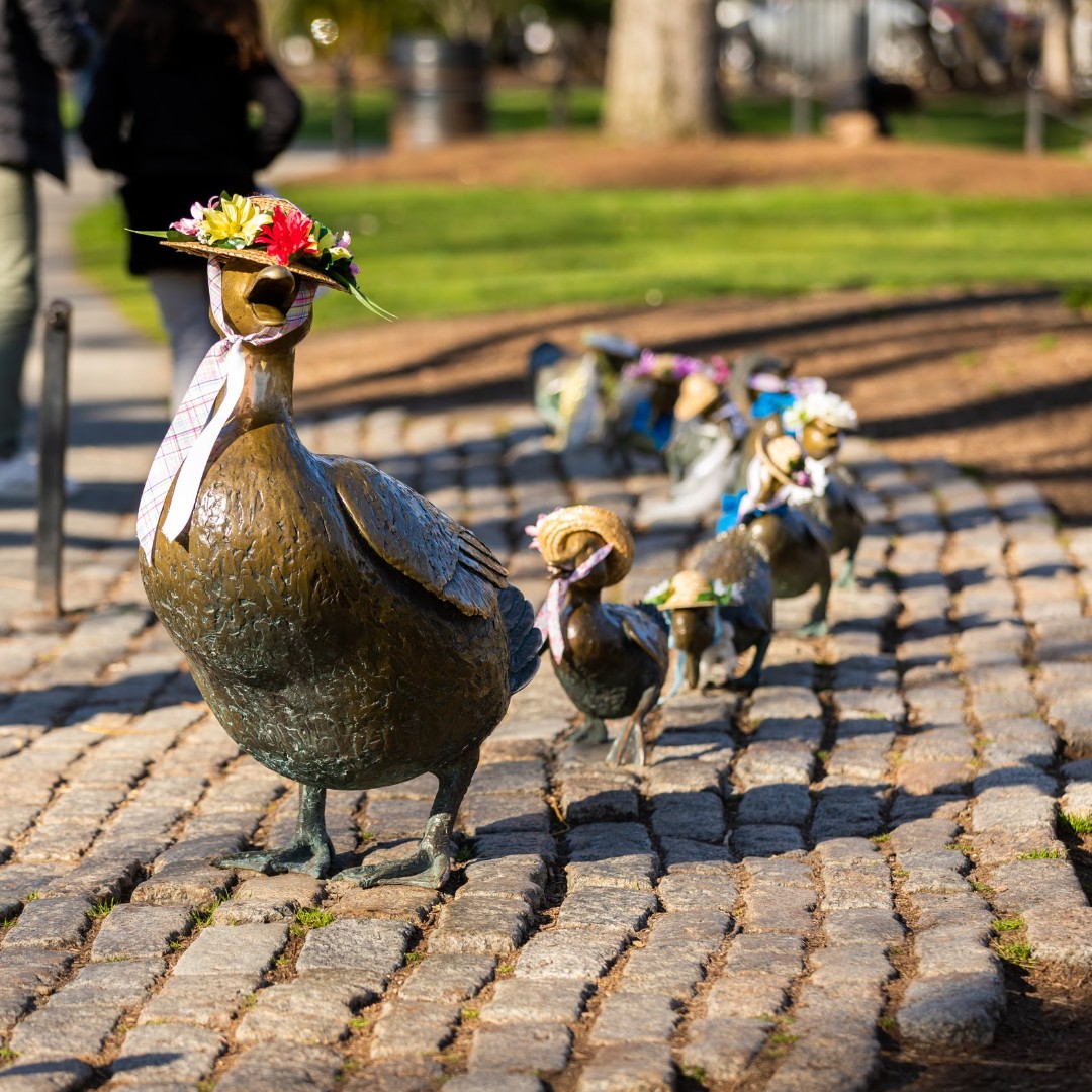 Make way for spring, Boston!