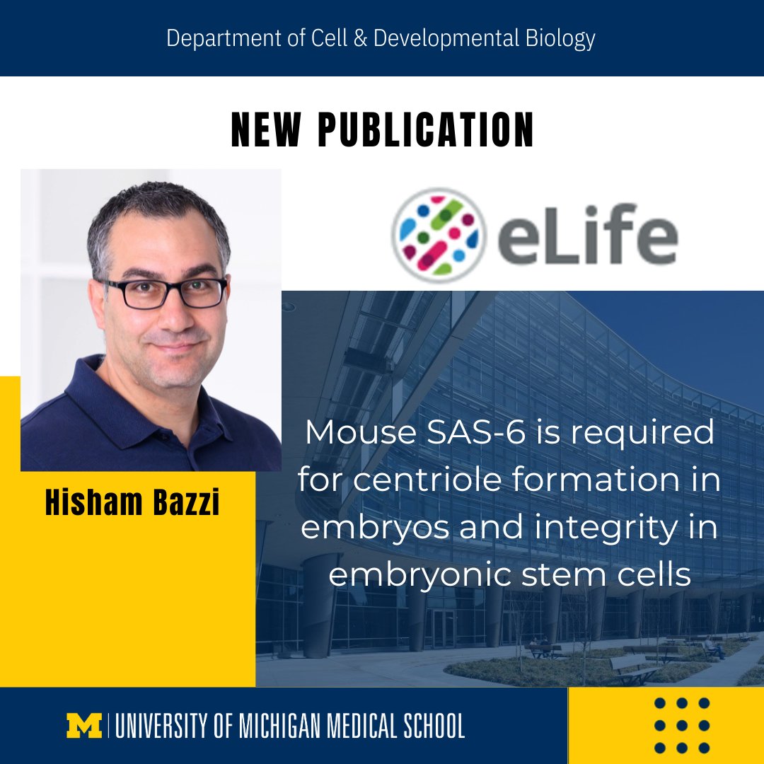 New Publication from the Bazzi Lab! 'Mouse SAS‑6 is required for centriole formation in embryos and integrity in embryonic stem cells,' has been published in eLife. Read more: elifesciences.org/articles/94694… #Research #Science #DevelopmentalBiology #CellBiology