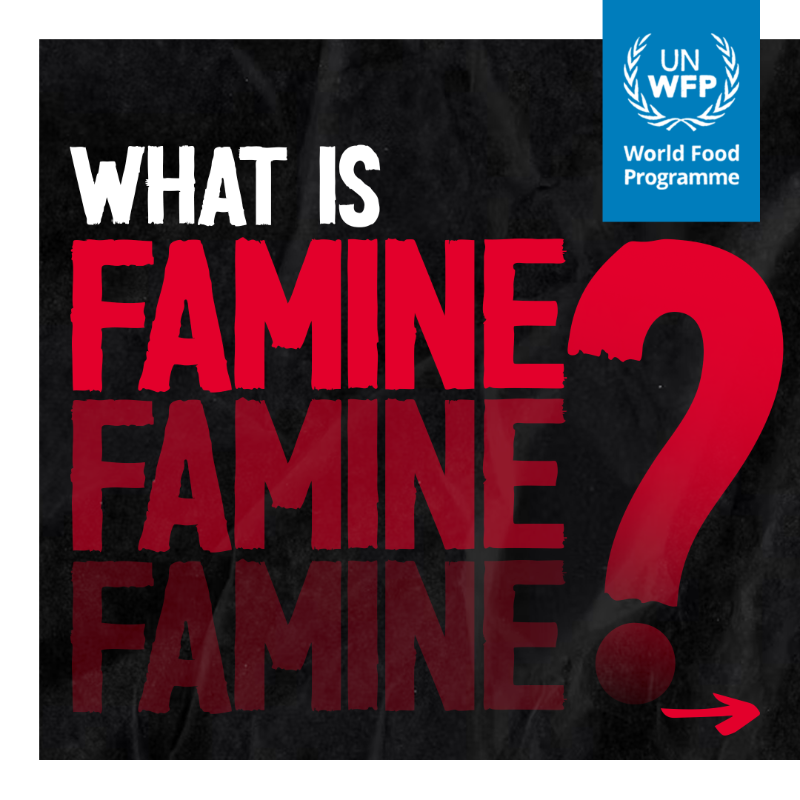 WFP's tweet photo. What is #famine? It's a global standard for defining the most devastating form of hunger.

In its simplest terms, famine means that at least two out of every 10,000 people will die of starvation or disease every day.

When famine is declared, it's already too late.

#FightFamine