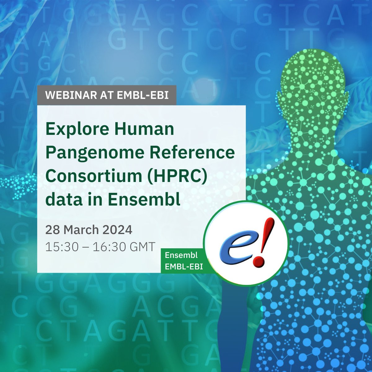 📢 One more week to go until our upcoming @emblebi #webinar where we will be exploring @HumanPangenome Reference Consortium (#HPRC) data in #Ensembl 👩🏼‍🦱🧑🏾‍🦳🧑🏻‍🦱 Registration is free but essential 👉🏽 ebi.ac.uk/training/event…