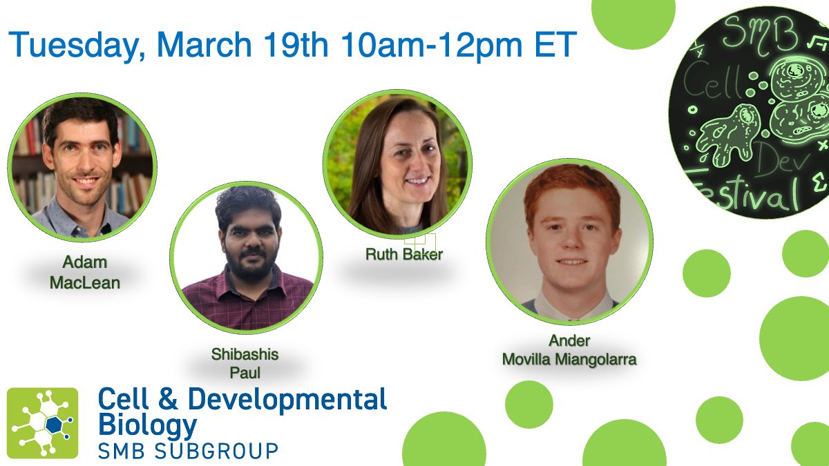 Today's session of the CDEV subgroup's first virtual mini-conference starts in just under 2 hours at 10 AM US Eastern/UTC-4! There's still time to register here: smb-celldevbio.github.io/cdevfestival/ for the Zoom links. @SMB_MathBiology @TLM_Cambridge